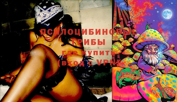 герыч Аркадак
