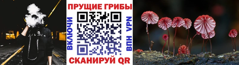 сколько стоит  гидра как войти  Псилоцибиновые грибы GOLDEN TEACHER  Городец 