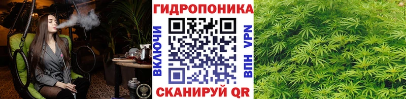 ссылка на мегу ССЫЛКА  где купить наркоту  Городец  это состав  Конопля тримм 